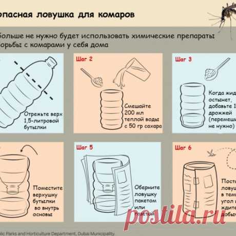 Ловушки для комаров