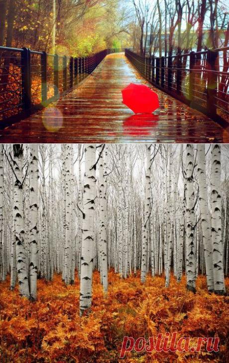 Осень пришла!