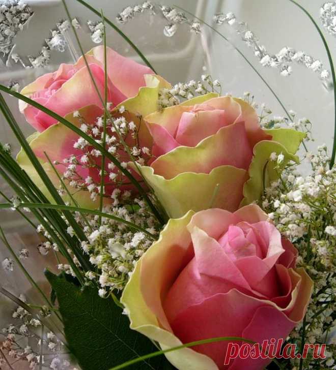 0_229e9_4aca8f9a_XL.jpg (725×800)