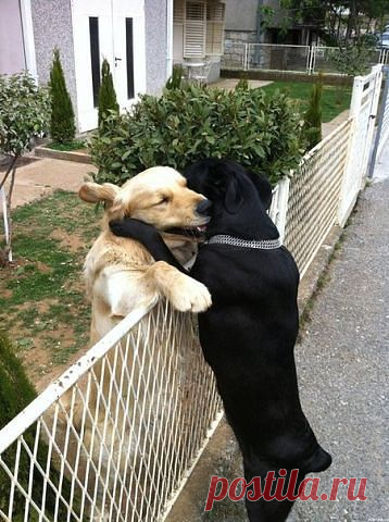 ПОЗДРАВЛЕНИЯ с днём рождения, с днём свадьбы,стихи
-Елена- Тесленко (Паршина)