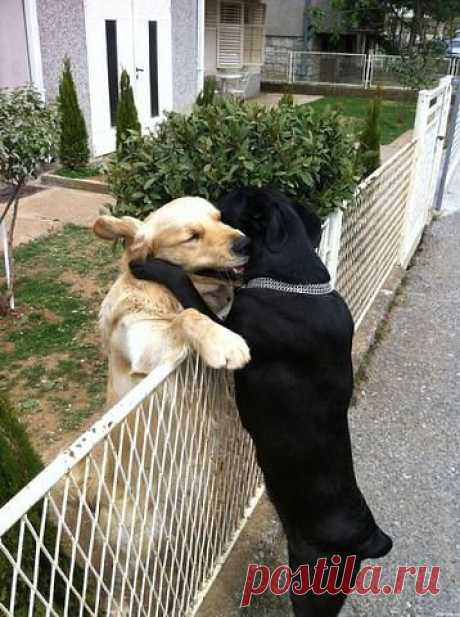 ПОЗДРАВЛЕНИЯ с днём рождения, с днём свадьбы,стихи
-Елена- Тесленко (Паршина)