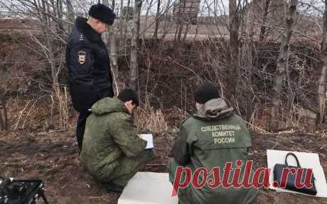 СК проведет экспертизу найденного на месте охоты ружья на имя Рашкина. В Саратовской области следователи назначили экспертизы по найденным на месте разделки лося охотничьему карабину и треноге, выданных на имя Валерия Рашкина.