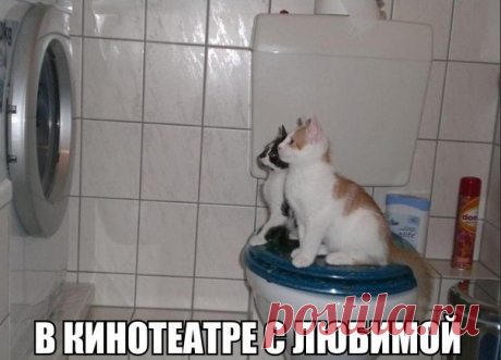 (43) Мой Мир@Mail.Ru