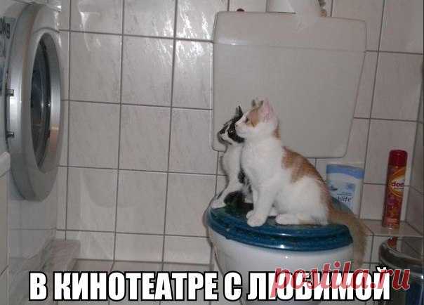 (43) Мой Мир@Mail.Ru