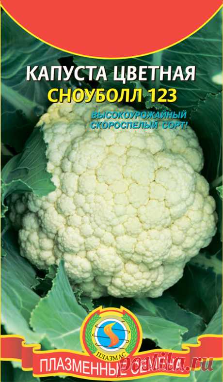 Сноуболл 123 капуста Огород без хлопот - информационный сайт для дачников, садоводов и огородников.