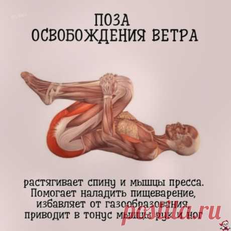 Πpocтaя йoгa для хopoшeгo caмoчувcтвия!