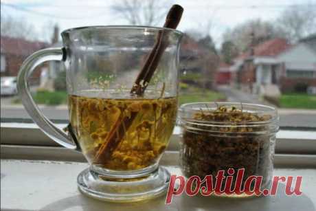 Как ромашкой вылечить желудок и кишечник: 7 рецептов от фитотерапевта