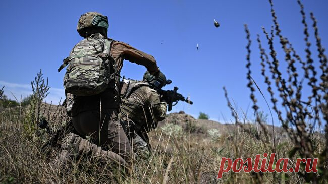 ВСУ потеряли свыше 1530 боевиков в зоне действий "Востока" за неделю