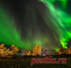 Фотографии — Страница 4 — National Geographic Россия