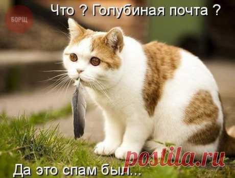 Письмо с Украины 2025 года