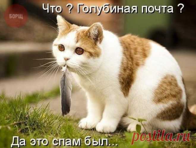 Письмо с Украины 2025 года