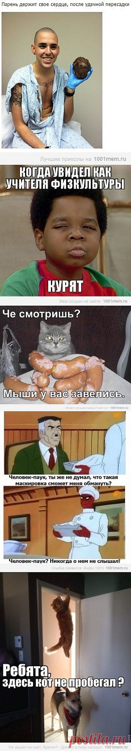 1001 Мем | Комиксы - Приколы - Мемы