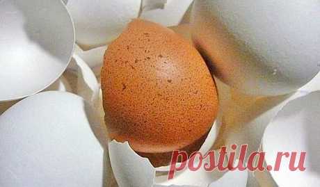 В каких продуктах содержится кальций - как принимать кальций