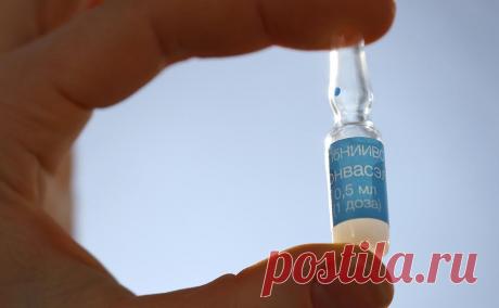 В Москве арестовали главу предприятия, выпускающего вакцину от COVID. Глава передового петербургского НИИ потребовал у дистрибьютора лекарств почти ₽20 млн за продление контрактов, утверждает СК. Предыдущего директора арестовали в сентябре по обвинению в растрате ₽437 млн