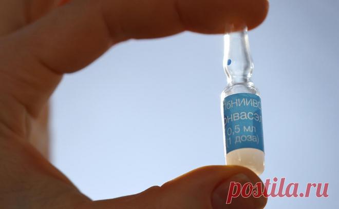 В Москве арестовали главу предприятия, выпускающего вакцину от COVID. Глава передового петербургского НИИ потребовал у дистрибьютора лекарств почти ₽20 млн за продление контрактов, утверждает СК. Предыдущего директора арестовали в сентябре по обвинению в растрате ₽437 млн