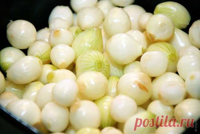 цитата Рита_Мерзлякова : БЫСТРЫЙ МАРИНОВАННЫЙ ЛУК ДЛЯ САЛАТОВ (и не только) (02:31 05-04-2014) [4685429/319924435] - lubanik-06@mail.ru - Почта Mail.Ru