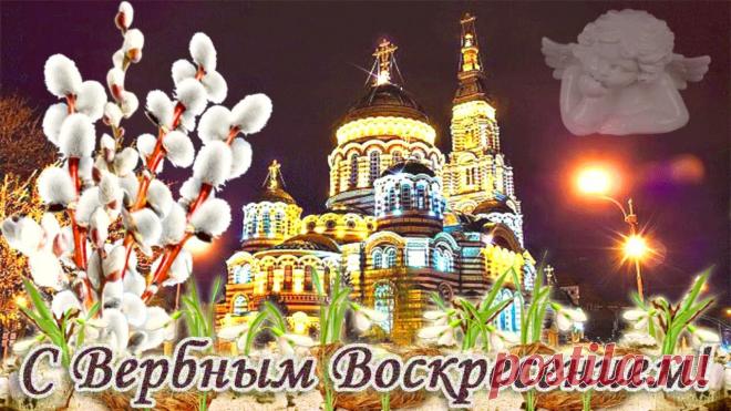 Вербное воскресенье - приметы и запреты » Женский Мир