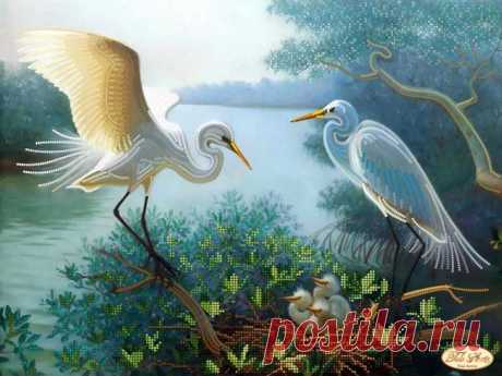 TK-062.jpg (700×525)