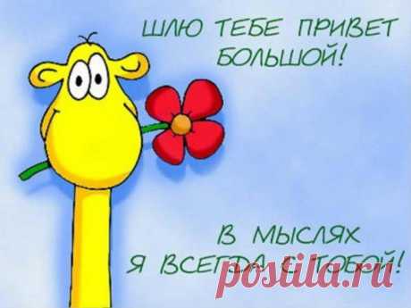 Шлю тебе привет! В мыслях всегда с тобой!