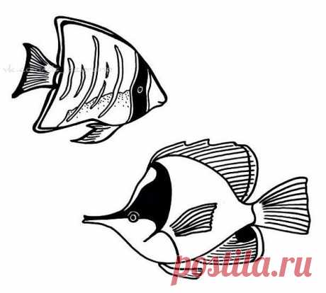 Морские жители