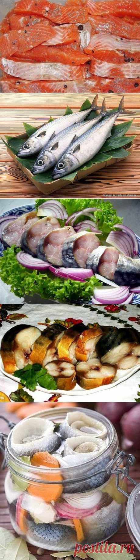 СКУМБРИЯ ЗА ТРИ МИНУТЫ! и др.