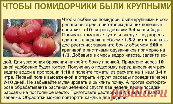 Дачный лайфхак 
Советы дачницы в копилочку полезностей