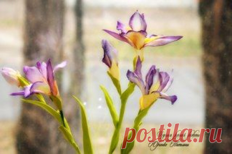 ФОМ ЭВА (Фоамиран) - пластичная замша в Крыму