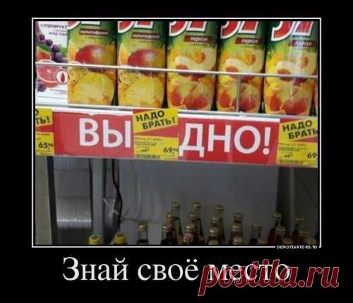Самые смешные демотиваторы / Приколы