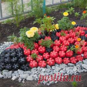 Вот что можно сделать из бутылок на даче: от тапочек до беседки
