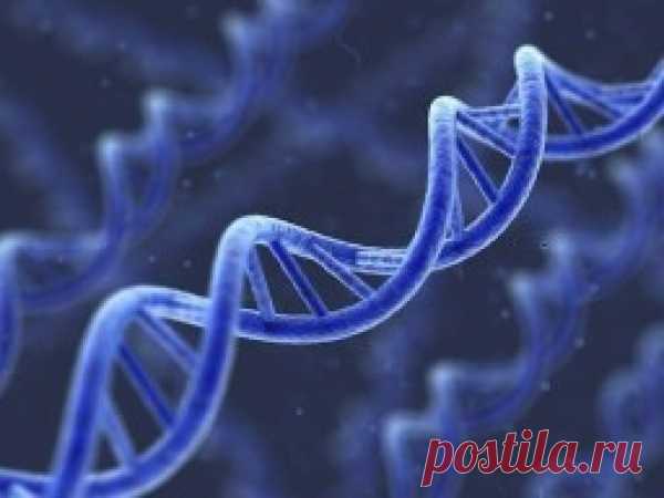 7 фактов о вас, о которых вы никогда не задумываетесь — Интересные факты