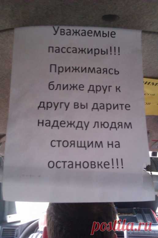 Лучшие объявления дня / Писец - приколы интернета