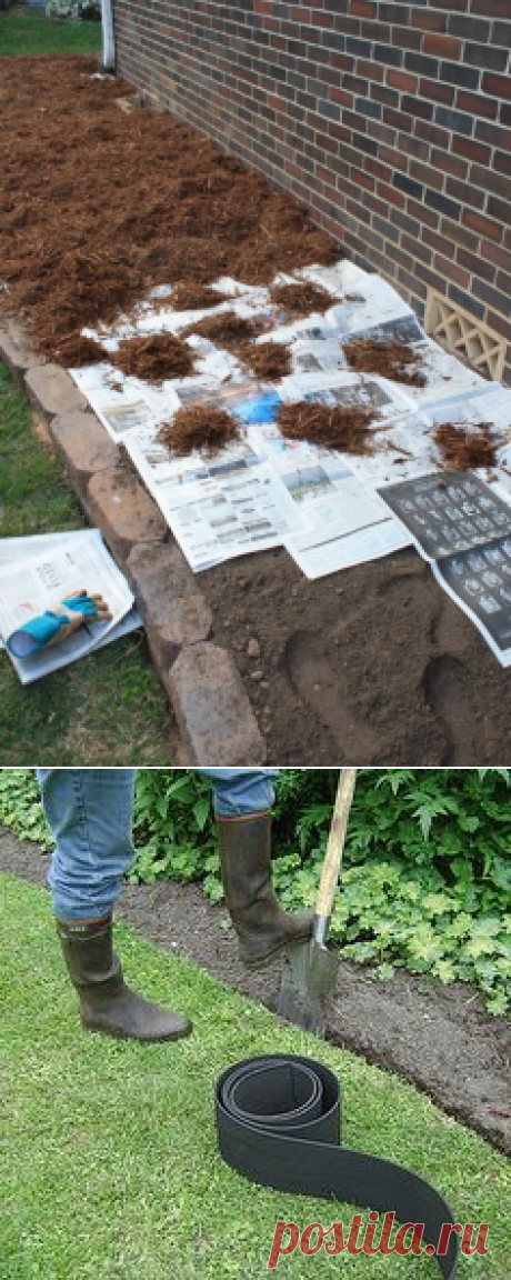 The newspaper will prevent any grass and weed seeds from germinating, but unlike fabric, it will decompose after about 18 months. By that time, any…