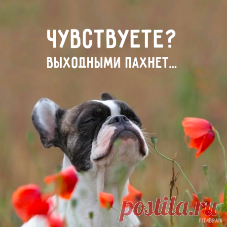О да!! :)
