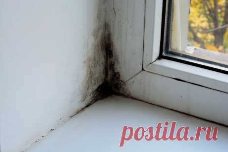Как за 2 минуты содой навсегда убрать черную плесень с пластиковых окон (зимой у многих есть) Простой способ избавить от плесени?работает эффективно