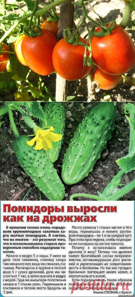 (55) Одноклассники