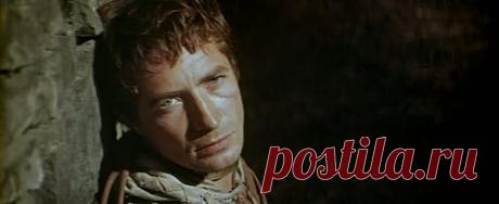 Юрий Каморный - 8 августа, 1944 • 27 ноября 1981