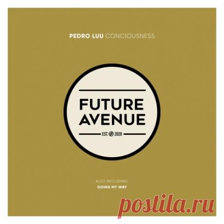 Pedro Luu – Conciousness [FA398]