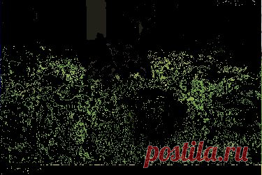 Прикольные gif анимации и гифки