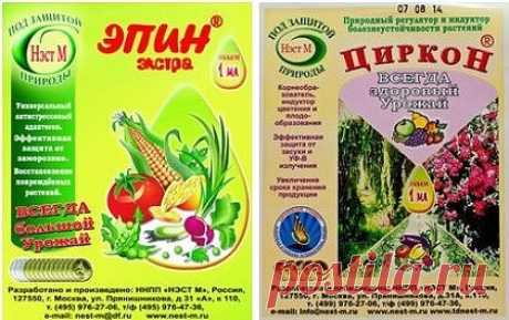 Эпин и Циркон. Зачем они нужны?