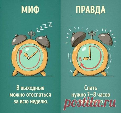 8 вредных привычек, которые мы напрасно считаем полезными
У каждого из нас есть привычки, которые, на первый взгляд, кажутся важными и нужными, хотя на самом деле никакой пользы не несут. Вот об этом и будет сегодняшняя подборка комиксов, сделанная художником в стиле «миф» и «правда». Наверняка просмотр данных иллюстраций пойдёт вам на пользу. 1. Здоровый сон Когда человек на буднях совершенно не высыпается, […]
Читай пост далее на сайте. Жми ⏫ссылку выше