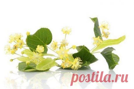 Гоним соли

Очень быстрый, простой и приятный рецепт от отложения солей.
!