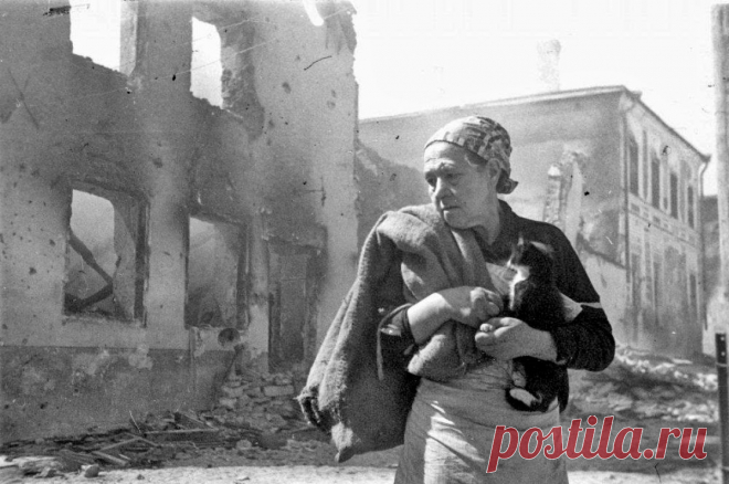 «Акт геноцида». Россия требует у Германии выплат блокадникам Ленинграда. Берлин считает пострадавшими только евреев