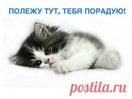 Мой Мир@Mail.Ru