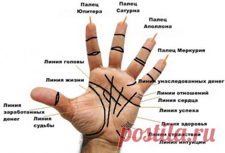 Все важные линии у вас на ладони иромантия (она же пальмистрия и хирология) практикуется по всему миру. Она берет начало в индийской астрологии и цыганских гаданиях.
 




Цель состоит в том, чтобы определить характер или будущее чел…