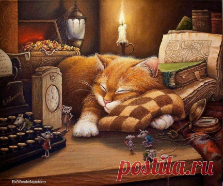 Девочки, вот какие коты попались ,на глаза может кому пригодится.