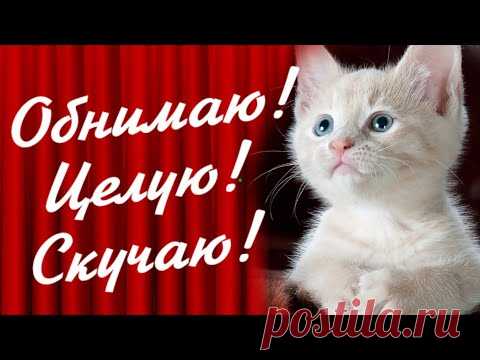 Обнимаю! Целую! Скучаю! Для тебя!