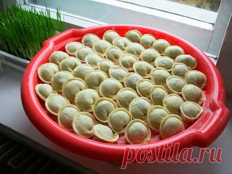Вкусная еда - кулинарные рецепты на каждый день!: «правильное» тесто для пельменей