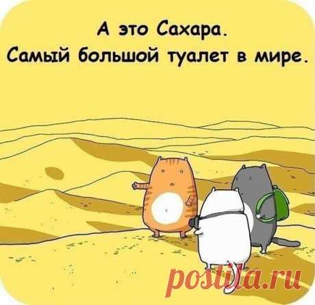 Мой Мир@Mail.Ru