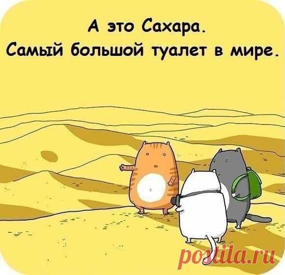 Мой Мир@Mail.Ru
