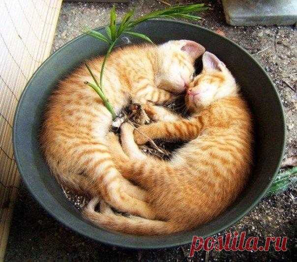 Мой Мир@Mail.Ru
